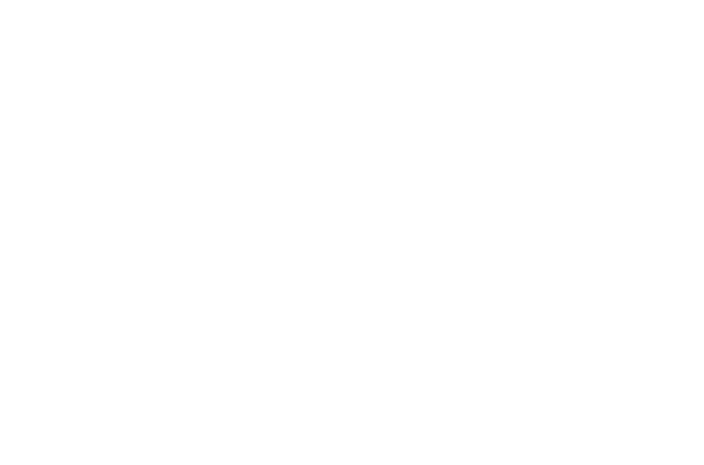 Logo-Splendoor_Branco